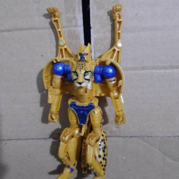 Transformers Generations Beast Wars Color Cheetor & Silver Ironhide  (1 of 2)
